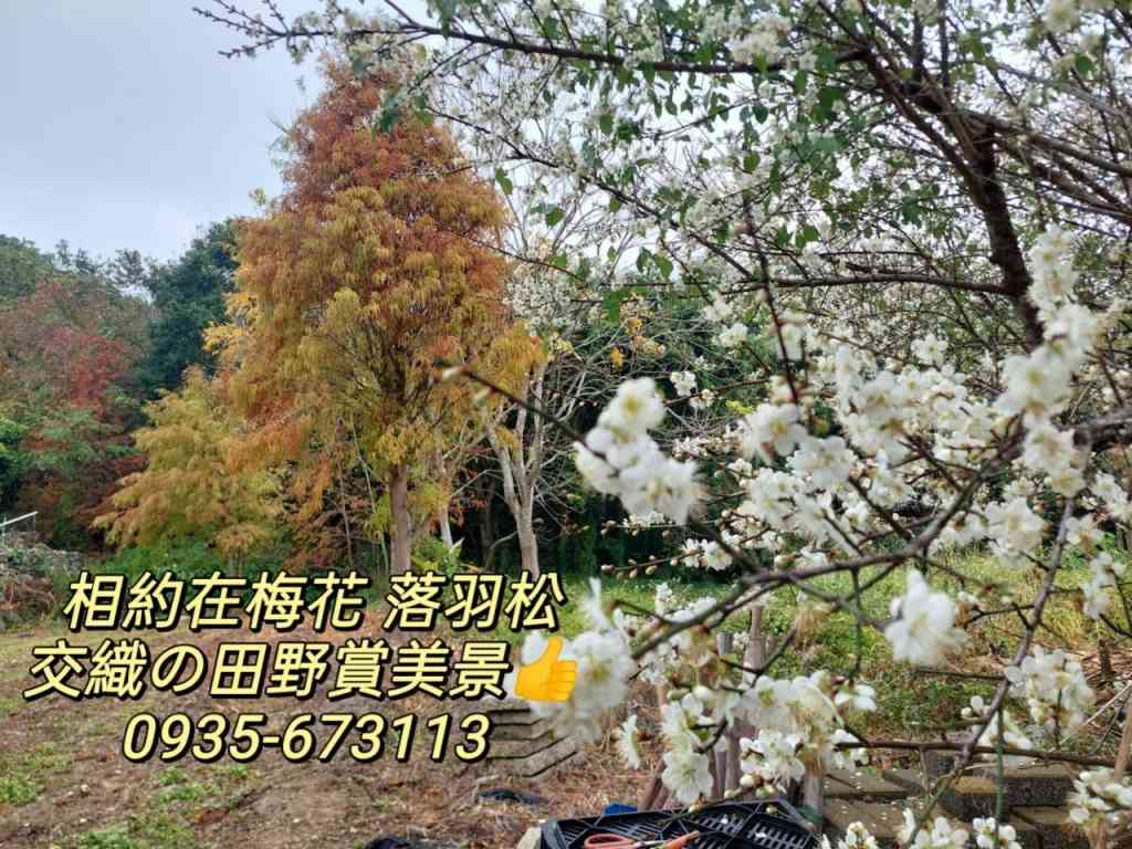 獨家㊣冬季美景★卓蘭景觀開心農場＋休閒屋視意圖