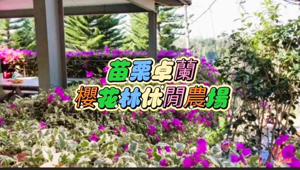 卓蘭櫻花林休閒農場★芬多精濃厚~親朋好友聚會聚餐最佳首選視意圖
